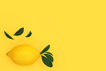 Image showing Lemon Citrus Fruit Health Food for Losing Weight