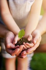 Image showing Environment, people holding a plant growing in soil and outdoors with lens flare. Ecology or sustainability, eco friendly or growth and hands of father with child hold green seedling with family