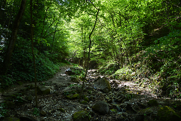 Image showing Rastenbach Gorge, South Tyrol, Italy