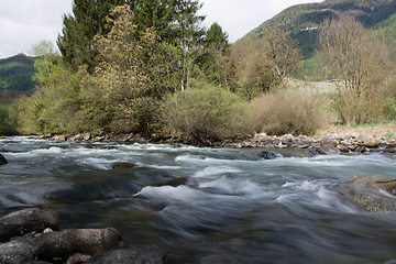 Image showing River Noce in South Tyrol, Italy