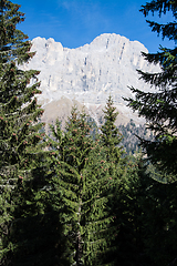 Image showing Rosengarten Group, South Tyrol, Italy