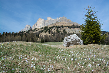 Image showing Rosengarten Group, South Tyrol, Italy