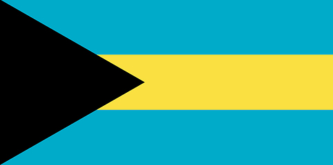Image showing Colored flag of the Bahamas