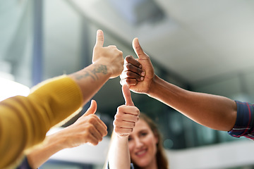 Image showing Team, hands and thumbs up by business people in office with yes, sign and winning gesture. Like, emoji and person group with success, agreement and thank you icon while celebrating solidarity