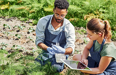 Image showing Farmer, team and plant analysis on tablet for agriculture science, produce control and monitor vegetables, agro or farm. Sustainability, people and measure quality of environment on technology