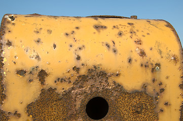 Image showing Yellow rust