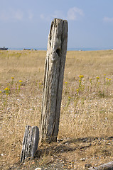 Image showing Post on a beach 