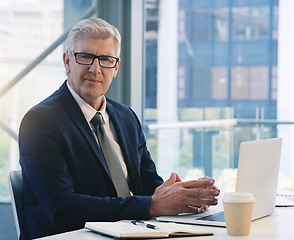 Image showing Professional businessman, portrait and in office with a laptop for communication and connectivity. Corporate, company and a manager or boss of an agency with a pc for networking and internet at work