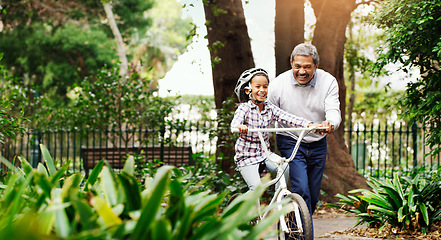 Image showing Bicycle, girl and grandfather in a park, teaching and happiness with fun, bonding and loving together. Old man, granddaughter and grandad with a bike, outdoor and riding with guidance, help and joy