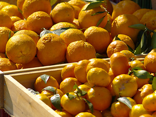 Image showing tangerines and oranges