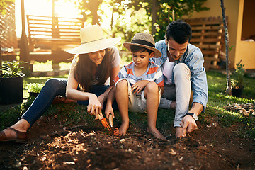 Image showing Family, soil or learning in garden for sustainability, agriculture care or farming development in backyard. Growth, education or parents of boy child with sand in nature planting or teaching a kid