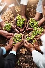 Image showing Plants, hands and teamwork of people gardening, agriculture or sustainable startup, group support and business growth. Palm, plant and person in circle of nonprofit, sustainability and soil on ground