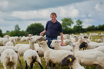 Image showing Farm, sheep and happy with man in field for agriculture, sustainability and animal care. Labor, ecology and summer with male farmer in countryside meadow for cattle, livestock and lamb pasture