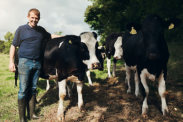 Image showing Portrait, agriculture and cows with a man on a farm outdoor for beef or natural sustainability. Confident, milk or dairy farming and a young male farmer standing on a field or meadow with animals