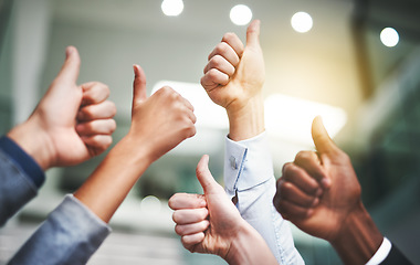 Image showing Thumbs up, success and winner with hands of business people in office for agreement, yes and teamwork. Emoji, support and community with group of employees for goals, thank you and motivation