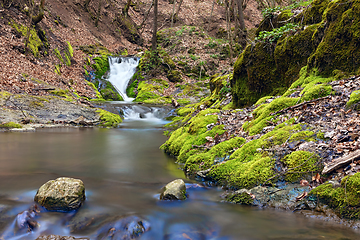 Image showing beautiful mountain stream in Apuseni