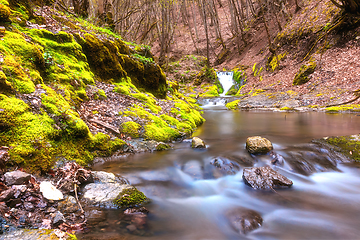 Image showing rapids in Borzesti gorges