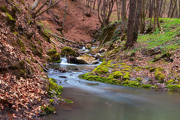 Image showing wild mountain stream in Borzesti gorges