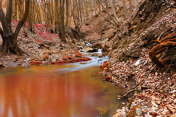 Image showing wild mountain stream in autumn