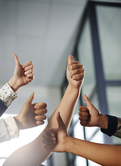 Image showing Business people, hands or thumbs up in agreement for winning, good job or teamwork success together. Hand of group of employees showing thumb up emoji, yes sign or like in team support in office