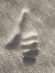 Image showing Hand giving thumbs up in the snow showing success