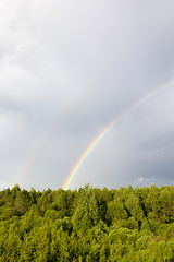 Image showing Rainbow Forest