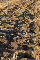 Image showing arable land, close-up