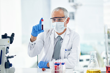 Image showing Science, vaccine and doctor with blood in a test tube with results of medical exam in a lab or laboratory. Medicine, research and healthcare man or chemistry professional with solution for covid