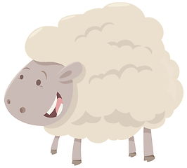 Image showing farm sheep animal