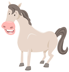 Image showing funny horse farm animal