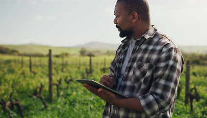 Image showing Farm, tablet and a black man on a field for agriculture, sustainability or crop research during spring. Internet, innovation and a male farmer standing in the countryside for the harvest season