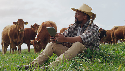 Image showing Grass, farmer and black man with a tablet, agriculture or relax with cows, connection or entrepreneur. Male person, cattle or business owner with technology, growth or countryside with sustainability