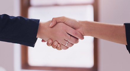 Image showing Business women, handshake and agreement to deal, partnership or b2b negotiation closeup. Professional people shaking hands for a client thank you, congratulations or hiring employee as HR partner