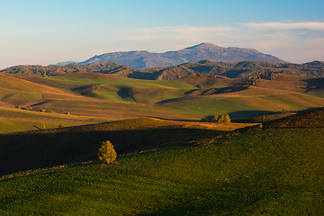 Image showing Beauty summer evening in the mountains