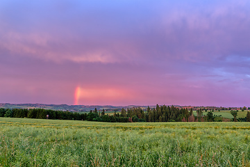 Image showing Rainbow over the summer field