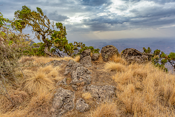 Image showing Semien or Simien Mountains, Ethiopia, Africa