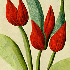 Image showing Watercolor red tulip flowers.