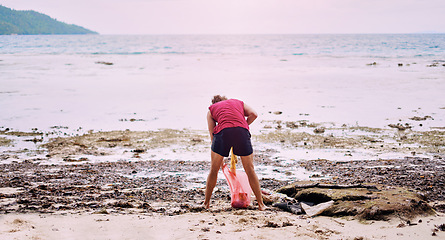 Image showing Back, recycling and man on the beach, pollution and environmental sustainability with view. Male person, volunteer or guy with a bag, seaside cleaning or recycle with trash, garbage or climate change