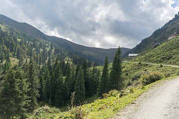 Image showing Trekking in Alps summer vacation