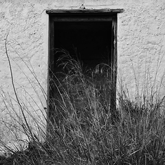 Image showing broken door and overgrown plants