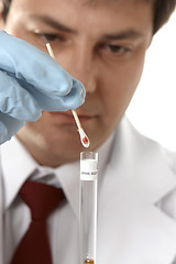 Image showing Forensic blood testing