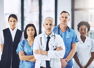 Image showing Team, senior doctor and portrait of nurses and doctors in hospital, support and teamwork in healthcare. Health care, diversity and medicine, confident leader and group of medical employees together.