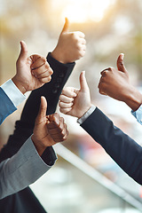 Image showing Teamwork, hands and community with thumbs up for success, team building and motivation. Business people, hand gesture and like emoji for agreement, ok or excellence, support or group in collaboration