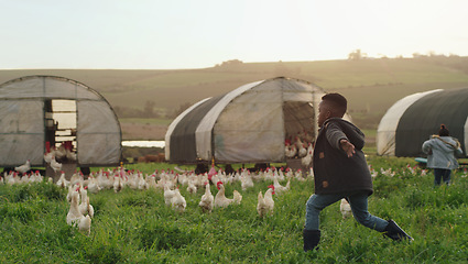 Image showing Chicken, farm and children on field, running and energy with sustainable business in agriculture with livestock. Nature, playing and kids on grass, bonding in family farming in sustainability and fun