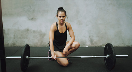 Image showing Weight lifting, body builder and portrait of woman with barbell in gym for training, exercise and workout. Fitness, muscle and strong female person with weights for challenge, wellness and strength
