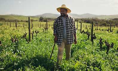 Image showing Agriculture, cane and black man on farm for farming, harvest or growth in countryside mockup. Walking stick, field and African male farmer with mature crops, vegetables or sustainable plants for agro