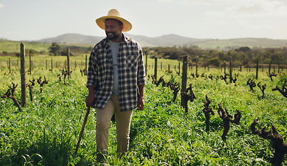 Image showing Cane, agriculture and black man on farm for farming, nature or growth in countryside mockup. Walking stick, field and African male farmer with a disability, vegetables and sustainable plants for agro