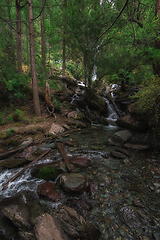 Image showing Waterfall in Altai Mountains