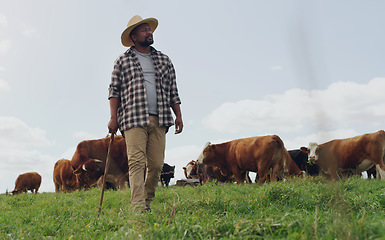 Image showing Agriculture, cow and black man thinking on farm, walking with stick and farming mockup. Land, cattle and African male farmer with livestock eating on grass field for milk, beef and meat production.