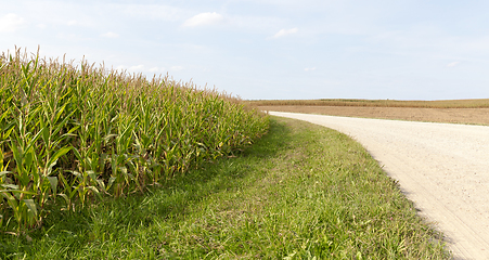 Image showing sandy country road